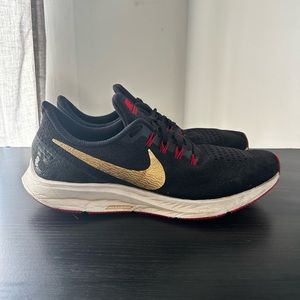 Nike Zoom Pegasus 35